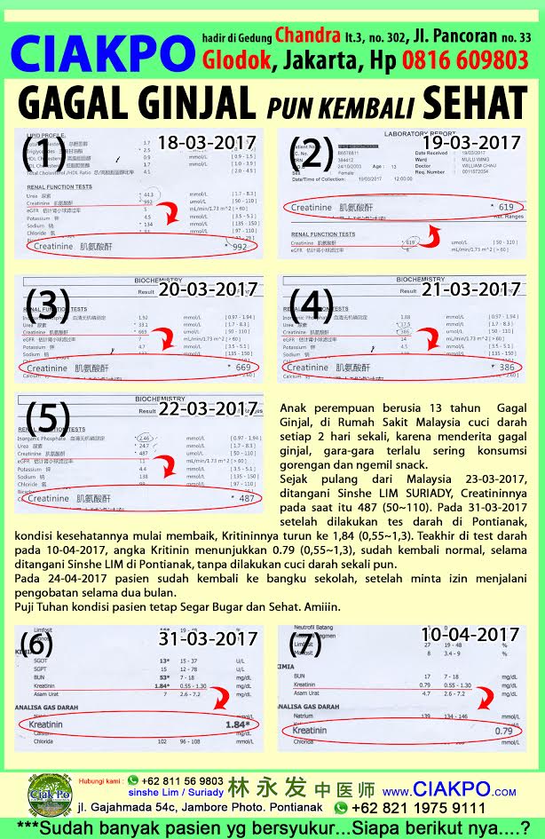 gagal-ginjal sehat kembali